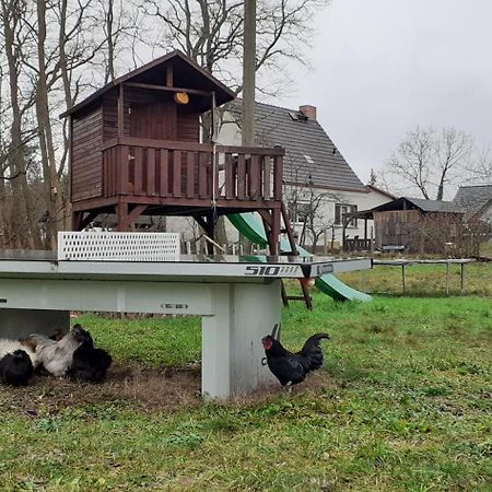 Zur Alten Jugendherberge Burg im Spreewald Eksteriør billede