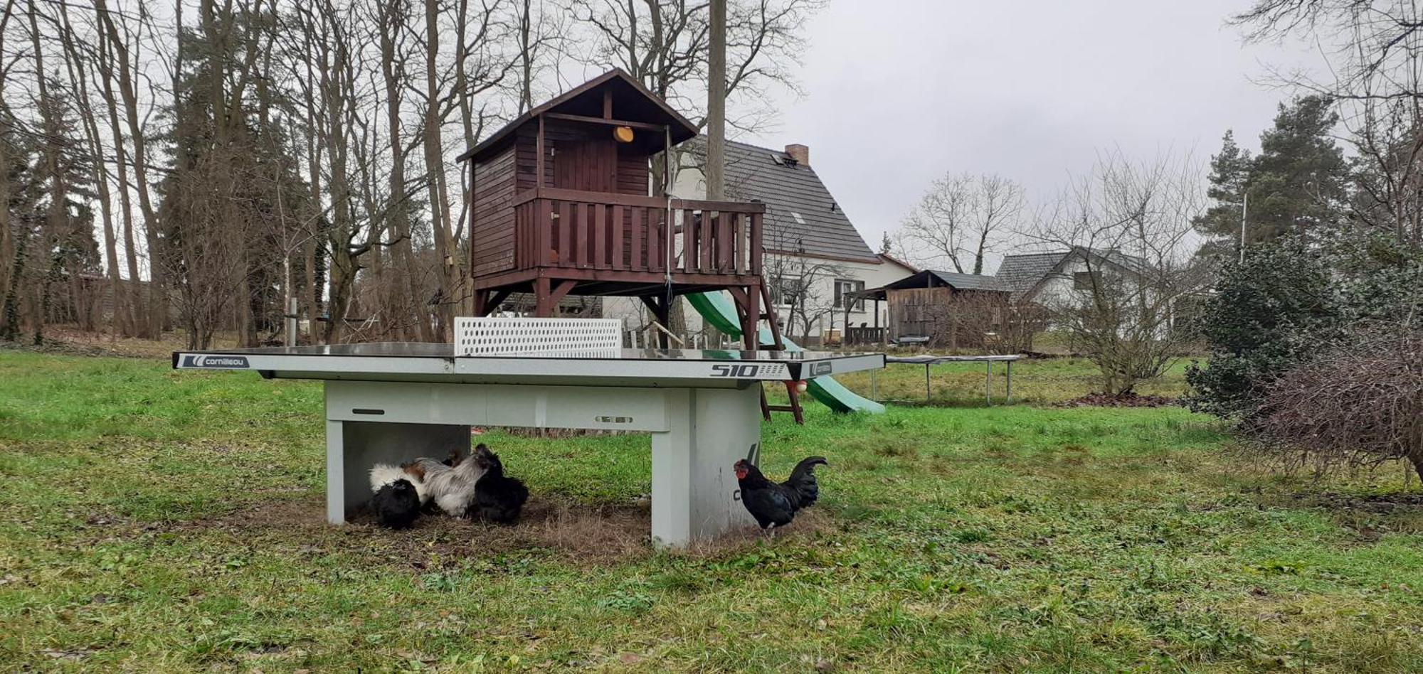 Zur Alten Jugendherberge Burg im Spreewald Eksteriør billede