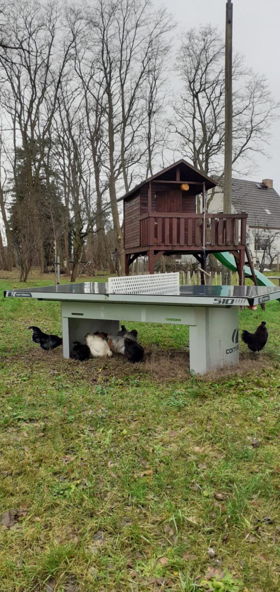 Zur Alten Jugendherberge Burg im Spreewald Eksteriør billede