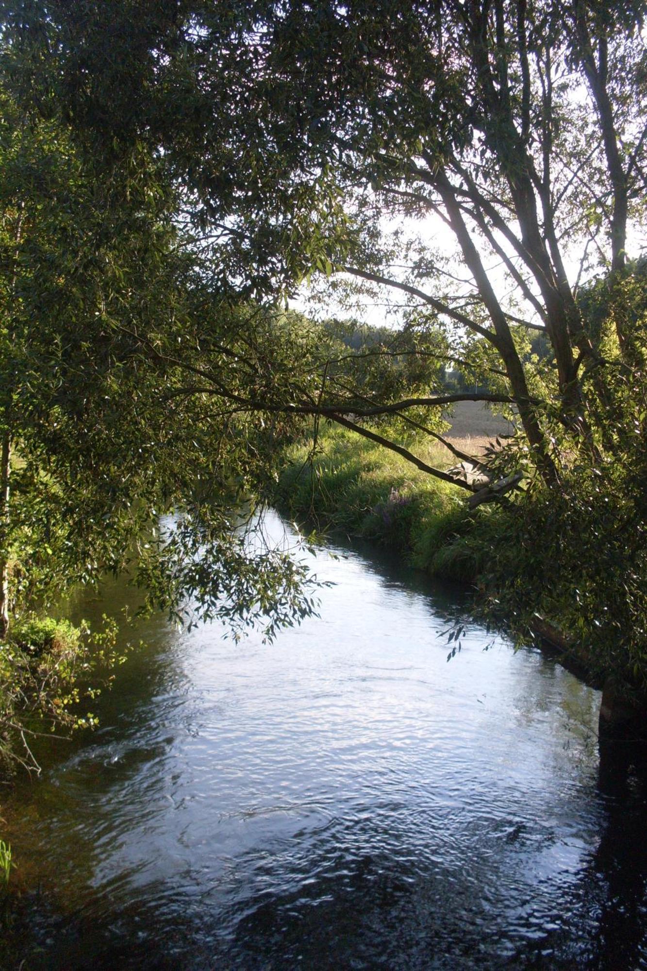 Zur Alten Jugendherberge Burg im Spreewald Eksteriør billede